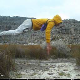 35_CLT_Gents_Trek_2024_original